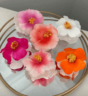 Hibiscus hairclip